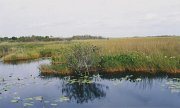 001-Everglades National Park, Florida